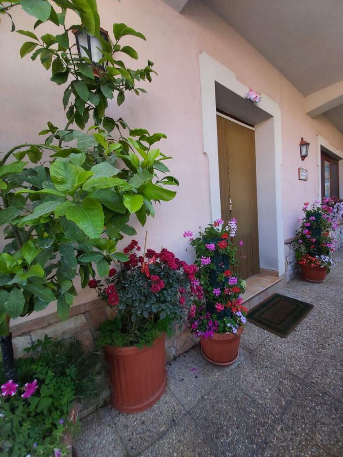 Il Ritrovo Delle Volpi Bed & Breakfast Agerola Exterior foto